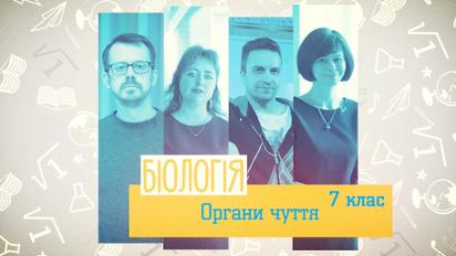 7 класс. Биология. Органы чувств. 1 неделя, чт