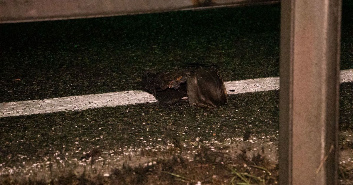 Під Києвом позашляховик збив пішохода: від удару чоловіка розірвало на шматки