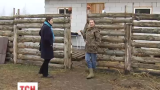 Переселенці з Донбасу організували ферму у Київській області