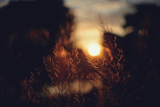 Народні прикмети 20 серпня / © unsplash.com