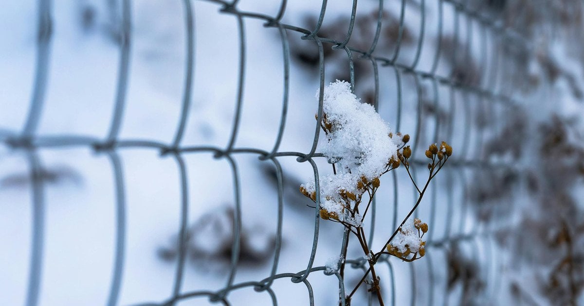 Який сьогодні, 8 грудня, день ангела