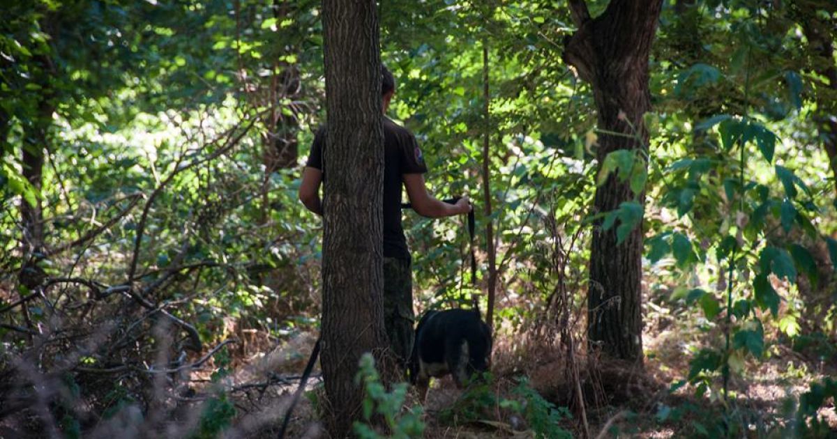 Миколаїв,злочинець,зґвалтування_4 / © ГУ Нацполіції в Миколаївській області