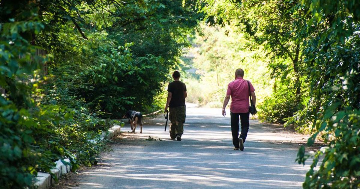 Миколаїв,злочинець,зґвалтування_3 / © ГУ Нацполіції в Миколаївській області