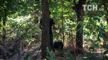 Миколаїв,злочинець,зґвалтування_4 / © ГУ Нацполіції в Миколаївській області