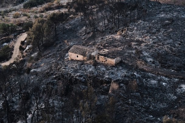 Огонь охватил более 3,2 тыс. гектаров в провинции Альмерия / © Associated Press