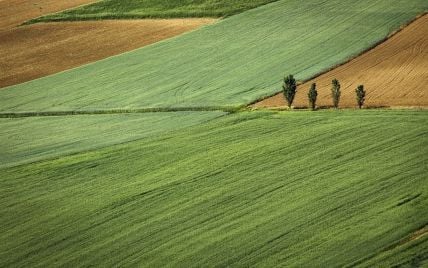 Какие налоги нужно заплатить при продаже земли в Украине