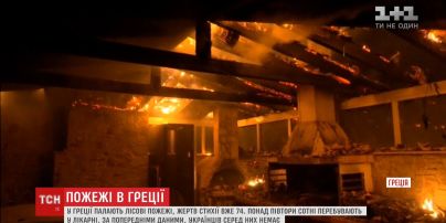 Десятки людей стали жертвами масштабних лісових пожеж у Греції
