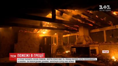 Десятки людей стали жертвами масштабних лісових пожеж у Греції