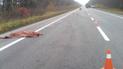 Жахлива ДТП на Харківщині: чоловік загинув під колесами двох авто