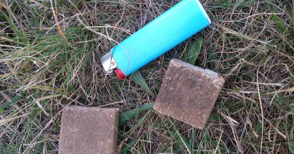 У Київській області вакцину проти сказу для тварин розкидали з літаків