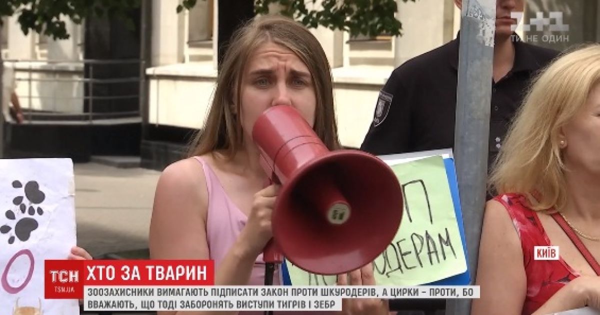 Під Адміністрацією президента зіштовхнулися мітинги зоозахисників і любителів цирку