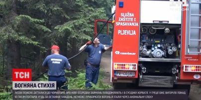 Новости мира: в Хорватии фиксируют новые очаги возгораний в лесах, пожары добрались и к Черногории