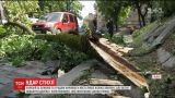 У Львові за 10 хвилин злива з градом та вітром повалила дерева і електроопори
