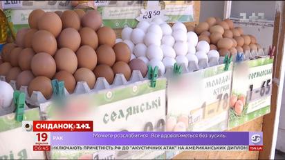 Почему цены на яйца существенно выросли