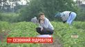 Работа на лето: какие вакансии пользуются наибольшим спросом на рынке труда