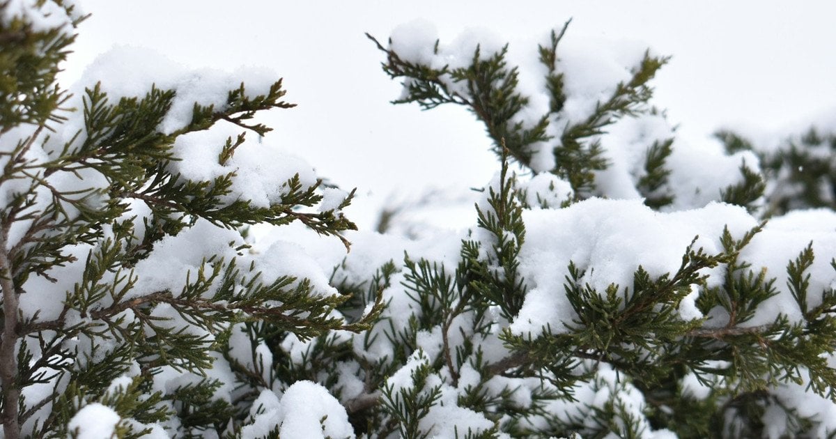 До України йде потепління