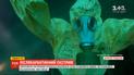 Рвуться до нових вражень та пригод: як спортсмени-екстремали готуються відкривати сезон