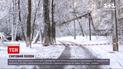 Наслідки снігопадів: яка нині ситуація в Одеській області