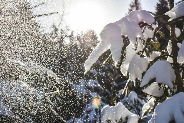 Народні прикмети 29 грудня / © Unsplash