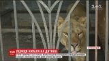 На Тернопільщині 13-річного хлопчика скалічила левиця