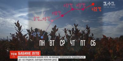Синоптики прогнозируют неделю бабьего лета в Украине