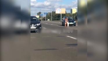 В Киеве девушка в белье выбежала на трассу и станцевала перед автомобилями
