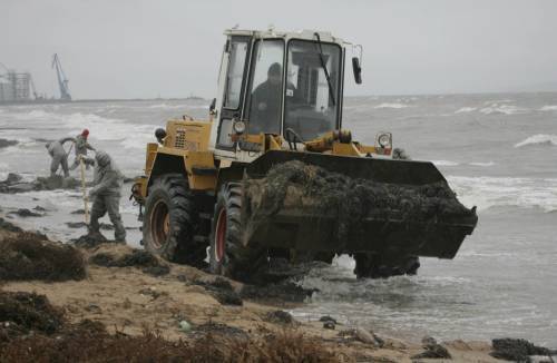 Екологічне лихо на морі
