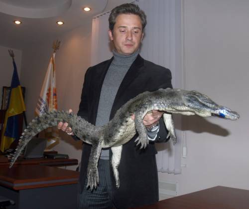 Годзілла