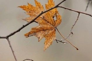 Погода в Україні на середу, 11 листопада