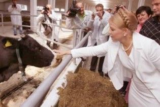 В умовах кризи в Україні зростає тільки сільське господарство