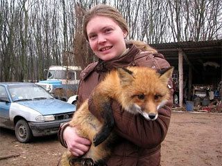 Лисичка