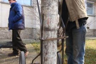 У підвалі будинку в Євпаторії знайшли 11 балонів