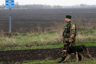 Кордони України посилено охороняють від свинячого грипу
