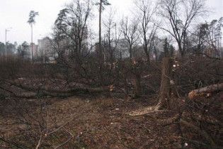 Рада заборонила рубати дерева в Києві