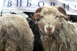Раді пропонують підвищити прохідний бар’єр на виборах