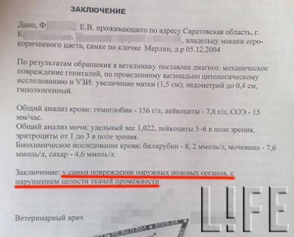 заключення
