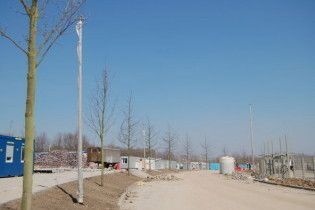 Дерева навколо "Донбас Арени" будуть світитися