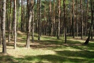 У Німеччині набуває популярності новий вид поховань