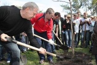 Київська мерія б'є рекорди озеленення: 62 дерева та 9 тис квіток на годину