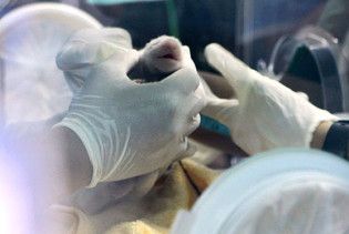 У американському зоопарку народилося дитинча панди