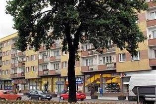 У Польщі спиляли дуб, який подарував місту Гітлер