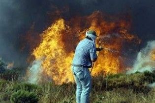 Пожежі в Греції призвели до екологічної катастрофи