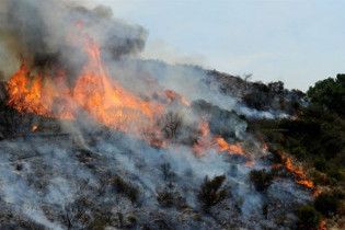 Ліс у Каліфорнії підпалив тринадцятирічний підліток