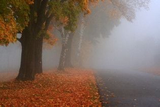 Погода в Україні на вівторок, 10 листопада