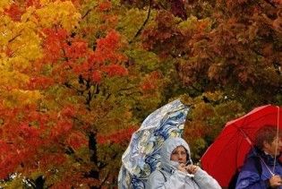 Погода в Україні на п’ятницю, 12 листопада