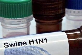 В Україні немає вакцини від свинячого грипу