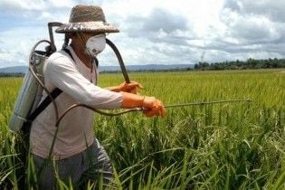 Україна вивозитиме пестициди в Європу