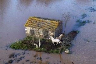 За 2009 рік стихія "відібрала" у людства 19 млрд доларів
