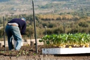 У Польщі українців експлуатують у трудових таборах