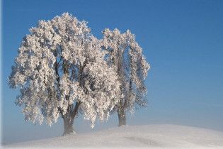 Погода в Україні на суботу, 16 січня
